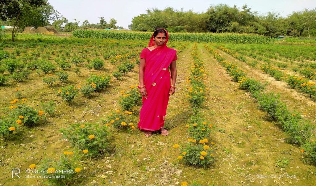 फुल खेतीबाट बनिन सफल उधमी”