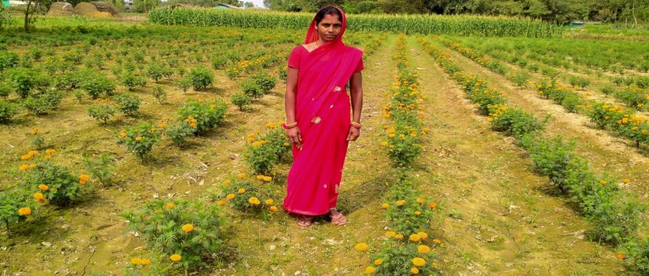 फुल खेतीबाट बनिन सफल उधमी”